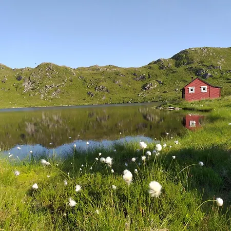 Apartmán I Gangavstand Til Strand, Sentrum Og Fjellet Selje